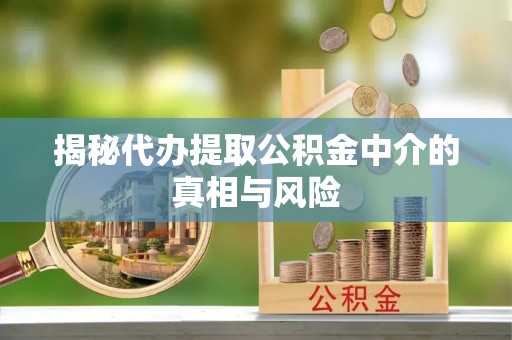 云龙揭秘代办提取公积金中介的真相与风险