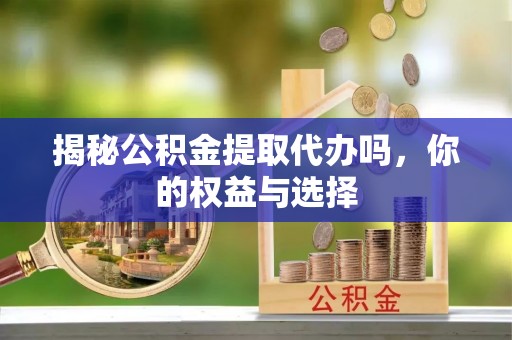 云龙揭秘公积金提取代办吗，你的权益与选择