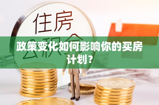 云龙政策变化如何影响你的买房计划？