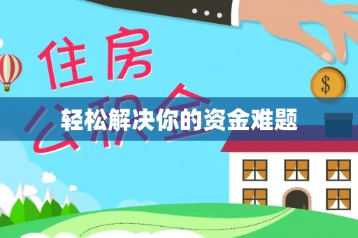 云龙轻松解决你的资金难题