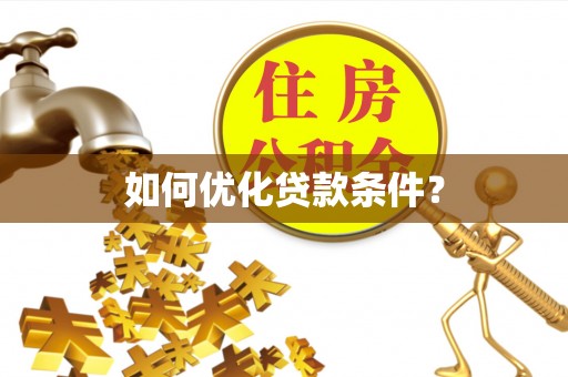 云龙如何优化贷款条件？