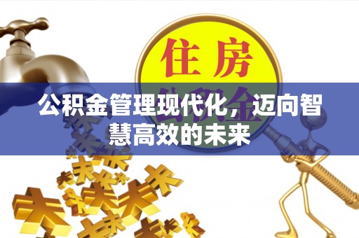 云龙公积金管理现代化，迈向智慧高效的未来