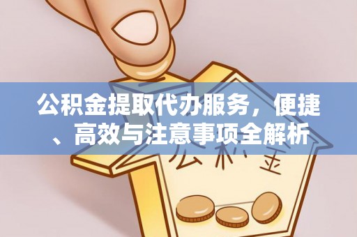 云龙公积金提取代办服务，便捷、高效与注意事项全解析