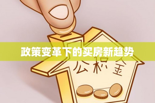 云龙政策变革下的买房新趋势