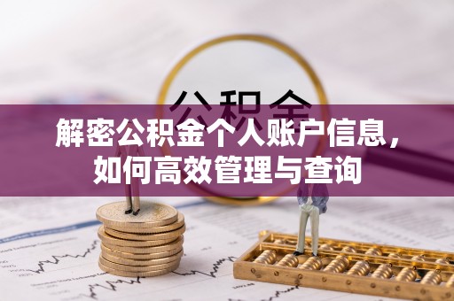 云龙解密公积金个人账户信息，如何高效管理与查询