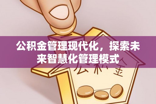 云龙公积金管理现代化，探索未来智慧化管理模式