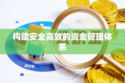 云龙构建安全高效的资金管理体系