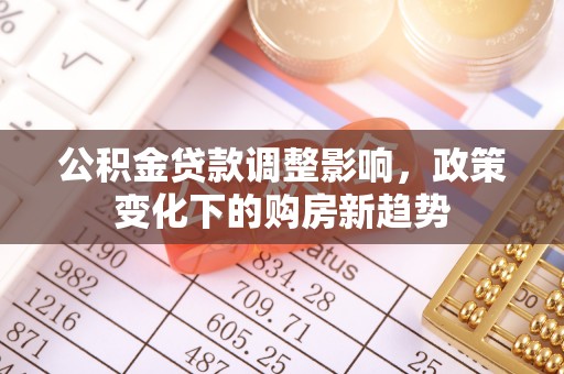 云龙公积金贷款调整影响，政策变化下的购房新趋势