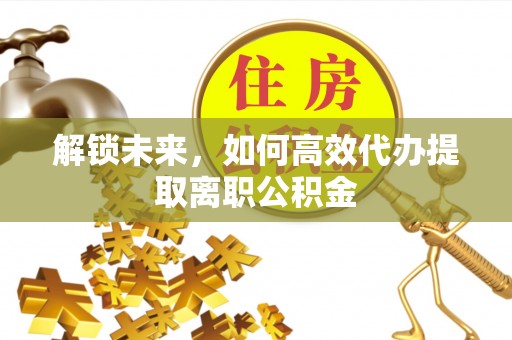 云龙解锁未来，如何高效代办提取离职公积金