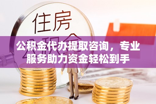 云龙公积金代办提取咨询，专业服务助力资金轻松到手