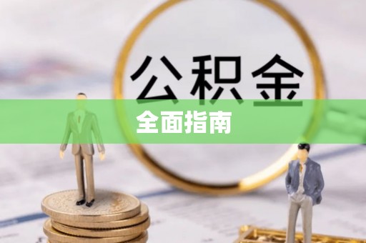 云龙全面指南