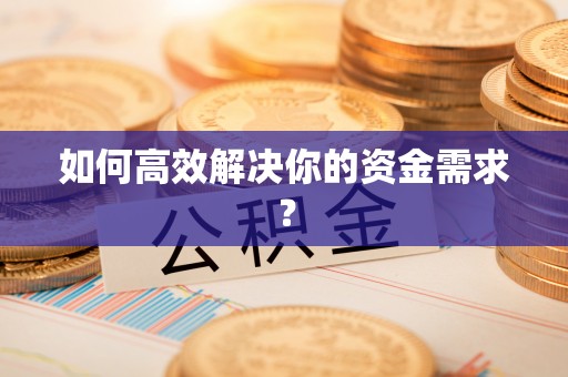 云龙如何高效解决你的资金需求？