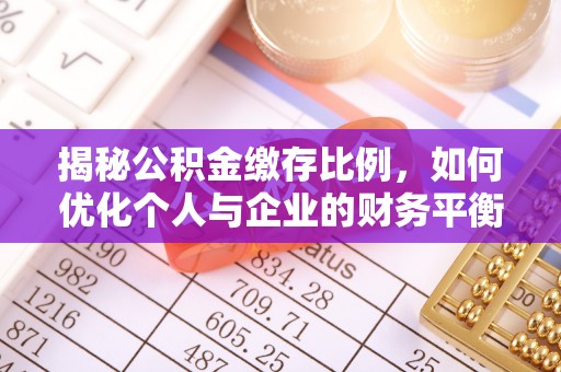 云龙揭秘公积金缴存比例，如何优化个人与企业的财务平衡