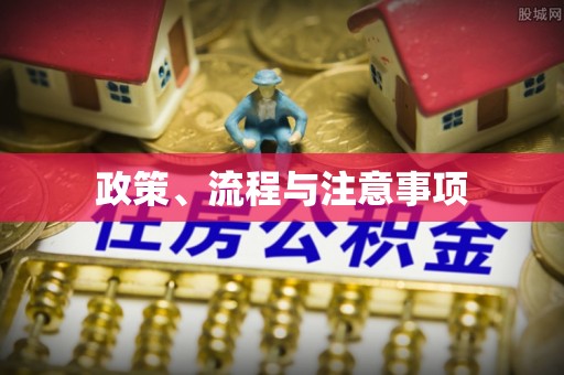 云龙政策、流程与注意事项