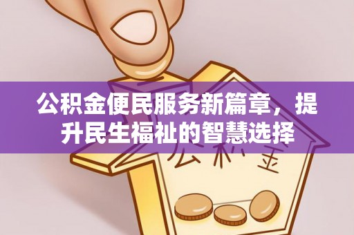 云龙公积金便民服务新篇章，提升民生福祉的智慧选择