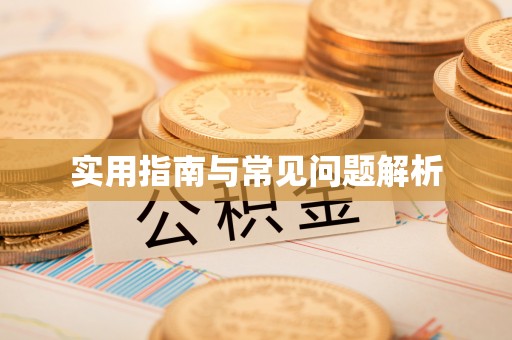 云龙实用指南与常见问题解析