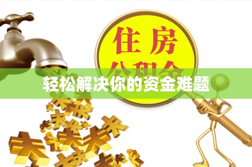云龙轻松解决你的资金难题