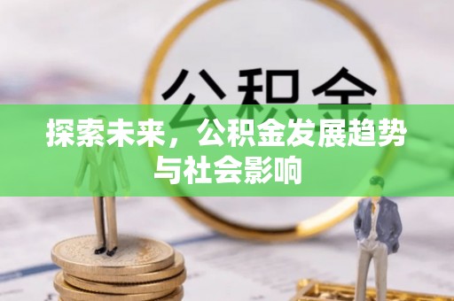 云龙探索未来，公积金发展趋势与社会影响