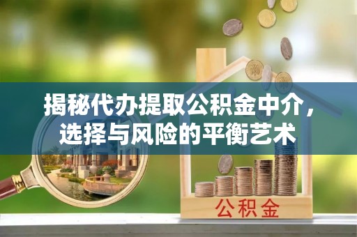 云龙揭秘代办提取公积金中介，选择与风险的平衡艺术