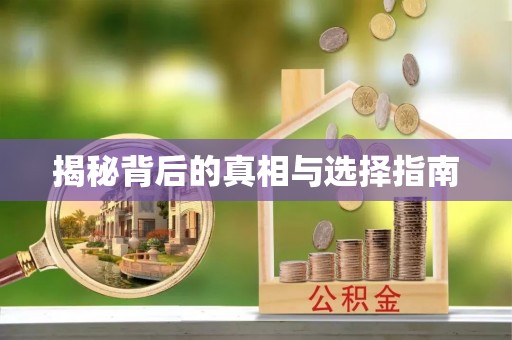 云龙揭秘背后的真相与选择指南