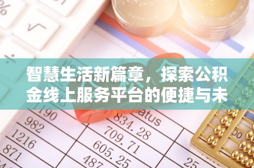 云龙智慧生活新篇章，探索公积金线上服务平台的便捷与未来