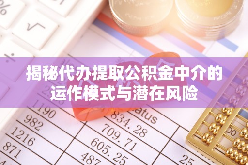 云龙揭秘代办提取公积金中介的运作模式与潜在风险
