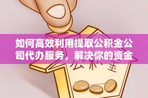 云龙如何高效利用提取公积金公司代办服务，解决你的资金难题