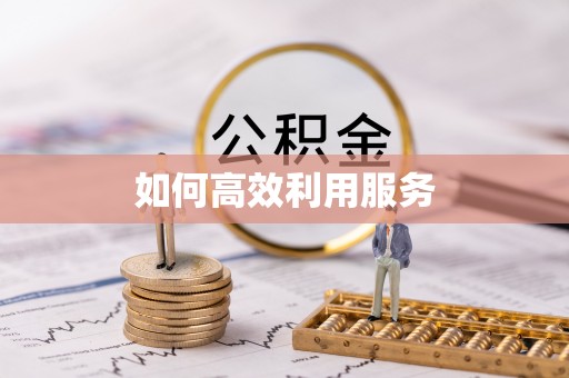 云龙如何高效利用服务
