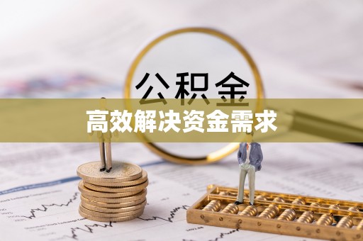 云龙高效解决资金需求