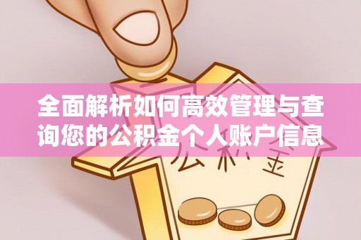 云龙全面解析如何高效管理与查询您的公积金个人账户信息