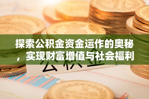 云龙探索公积金资金运作的奥秘，实现财富增值与社会福利双赢
