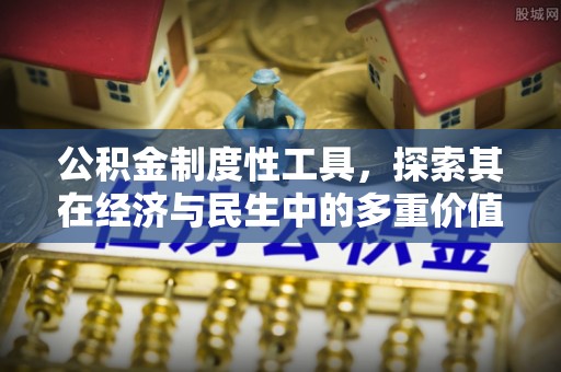 云龙公积金制度性工具，探索其在经济与民生中的多重价值