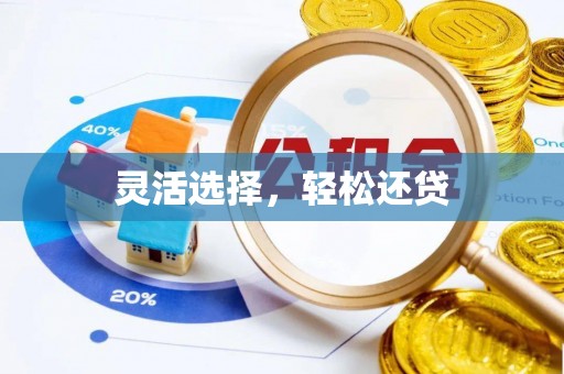 云龙灵活选择，轻松还贷