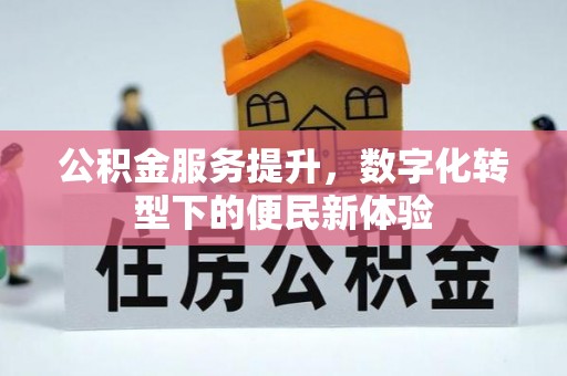 云龙公积金服务提升，数字化转型下的便民新体验