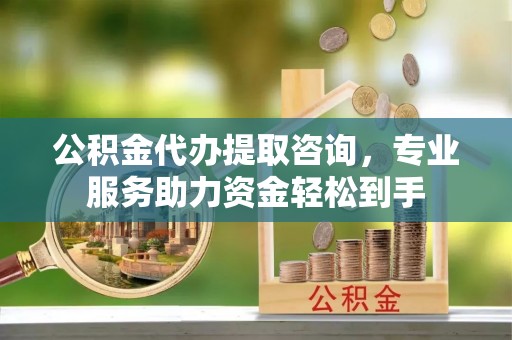 云龙公积金代办提取咨询，专业服务助力资金轻松到手