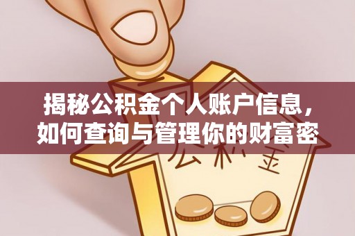 云龙揭秘公积金个人账户信息，如何查询与管理你的财富密码