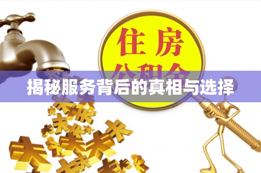 云龙揭秘服务背后的真相与选择
