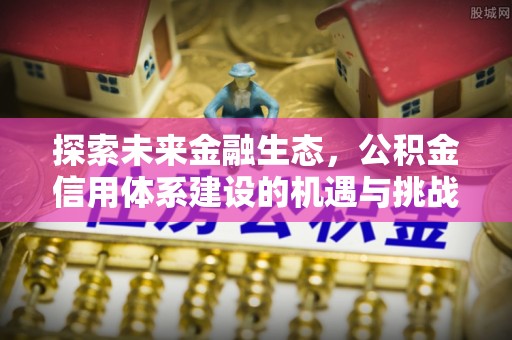 云龙探索未来金融生态，公积金信用体系建设的机遇与挑战