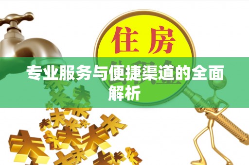 云龙专业服务与便捷渠道的全面解析