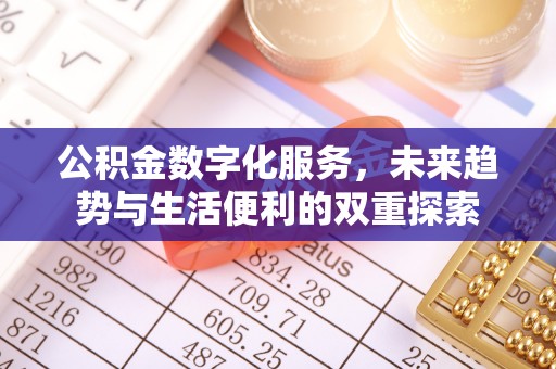 云龙公积金数字化服务，未来趋势与生活便利的双重探索