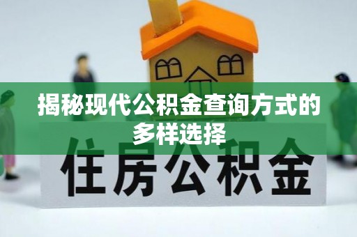 云龙揭秘现代公积金查询方式的多样选择