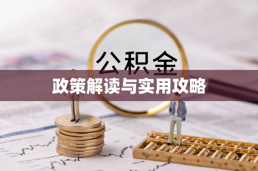 云龙政策解读与实用攻略