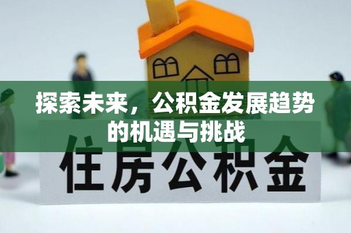 云龙探索未来，公积金发展趋势的机遇与挑战