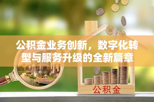 云龙公积金业务创新，数字化转型与服务升级的全新篇章