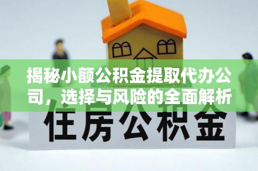 云龙揭秘小额公积金提取代办公司，选择与风险的全面解析
