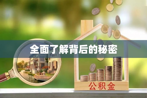 云龙全面了解背后的秘密