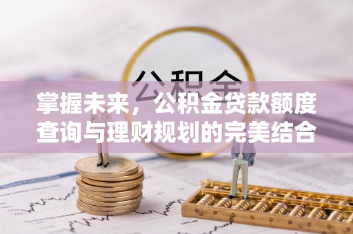 云龙掌握未来，公积金贷款额度查询与理财规划的完美结合