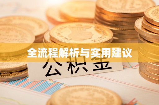 云龙全流程解析与实用建议
