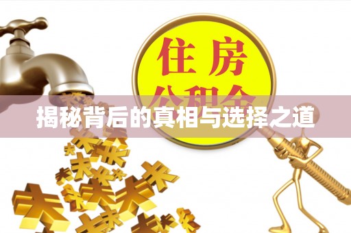 云龙揭秘背后的真相与选择之道