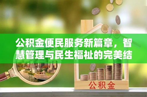 云龙公积金便民服务新篇章，智慧管理与民生福祉的完美结合